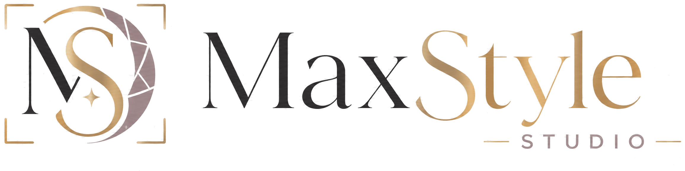 MaxStyle Studio